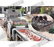 豪联HLXQ-5000 果蔬清洗机流水线 山楂清洗机