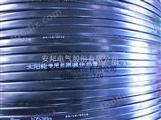 內(nèi)蒙古柴油儲(chǔ)罐防凍保溫系統(tǒng)25DWK2-PF防腐伴熱帶廠家