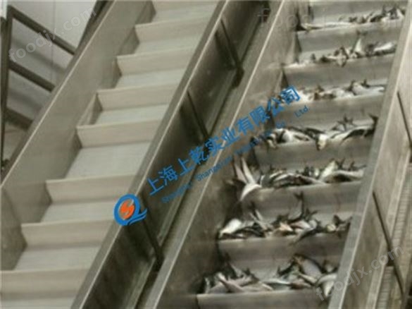 塑料網(wǎng)帶輸送機(jī) 提升網(wǎng)帶輸送機(jī)